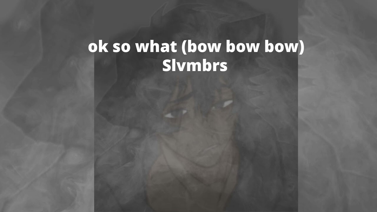ok so what (bow bow bow) super slowed - slvmbrs