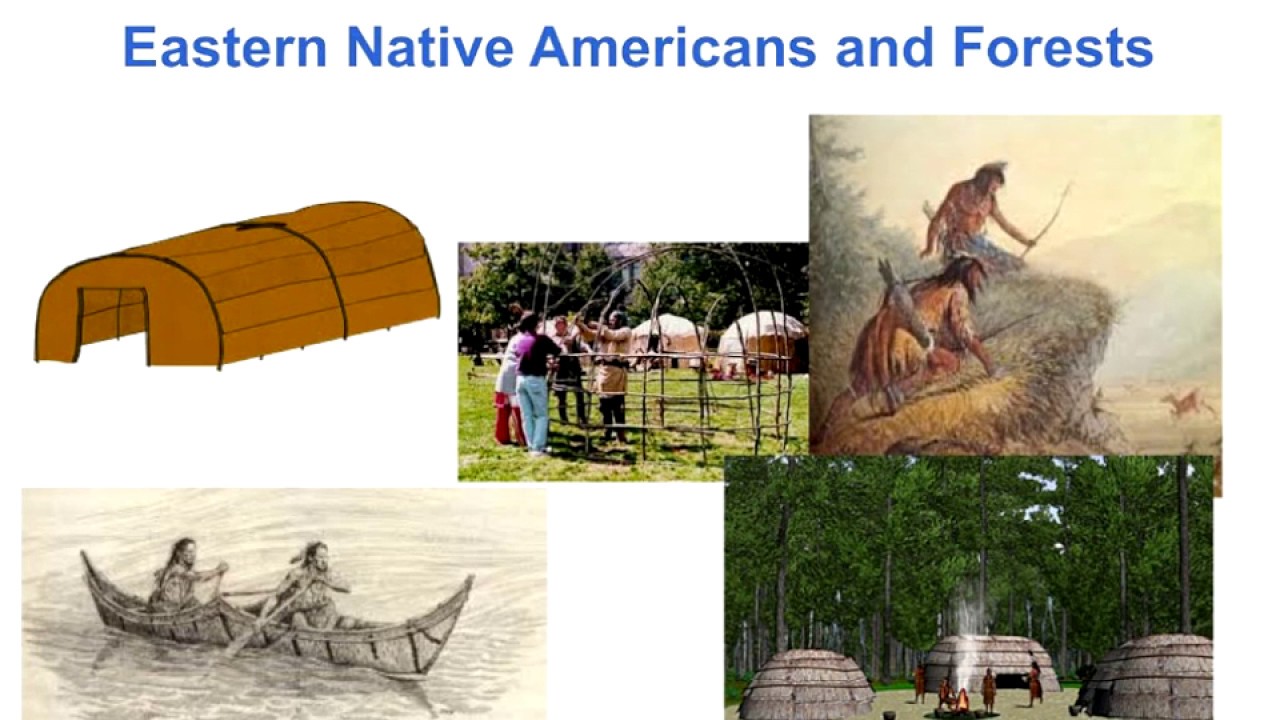 History of the Development of Forest Product Markets and Their Impacts