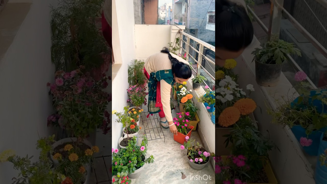 छोटी balcony सपना बड़ा 🥺