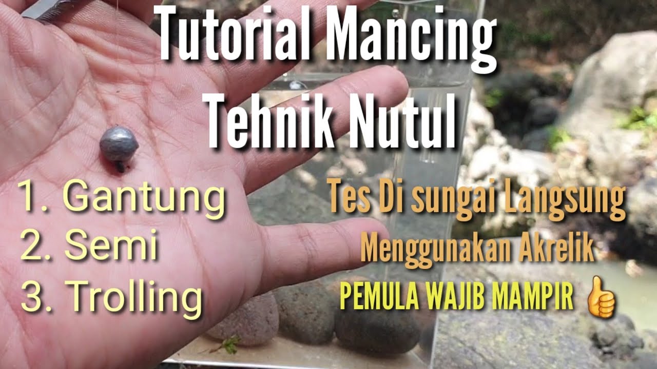 Cara Mancing Tehnik Nutul || Sensasi yang tidak Bisa di Beli 