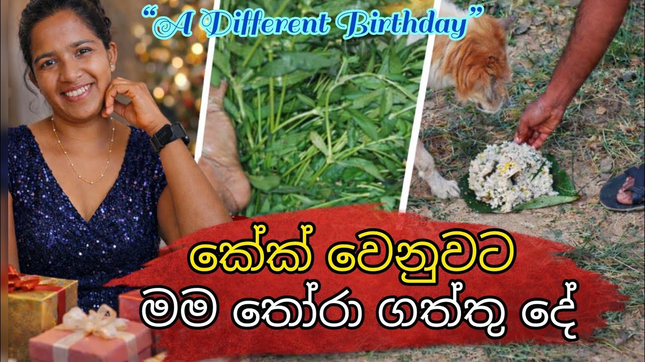 කේක් නැති උපන්දින සැමරුම, අපි වීදි බව්වන්ට දුන්නු දානය