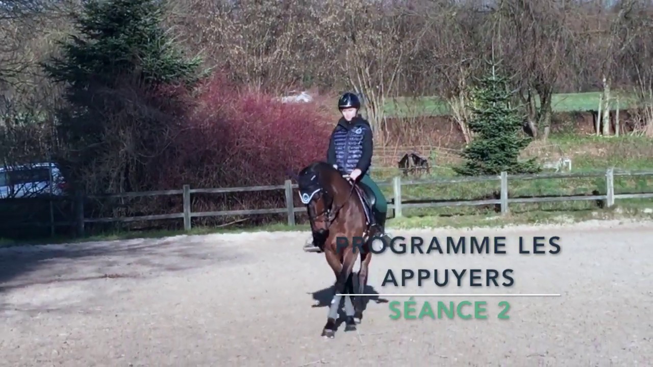 Séance 2 - Transitions dans l'appuyer, par Florence Lenzini