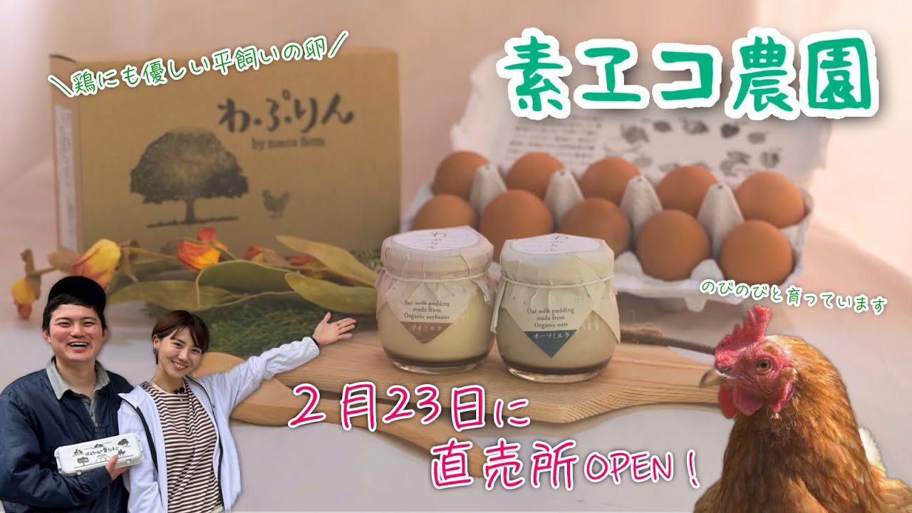 知ってる？環境にも体にも優しいプリン！～素ヱコ農園～
