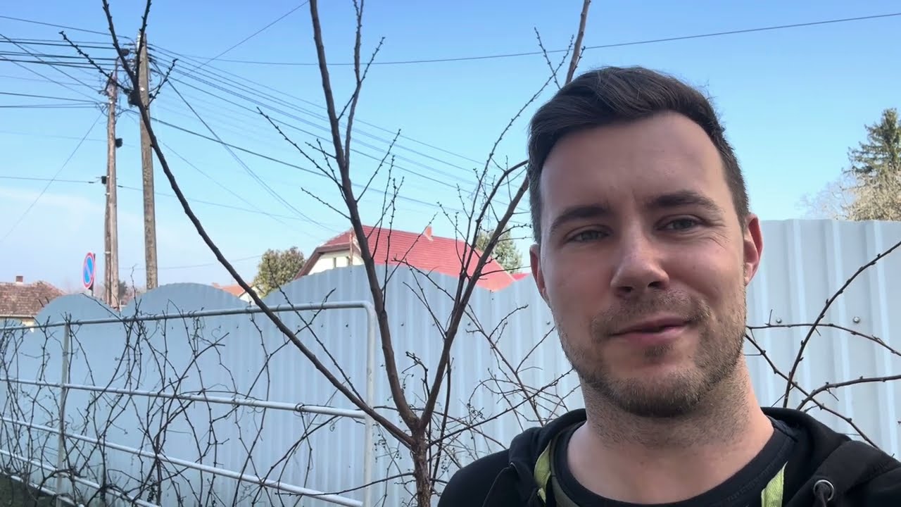 Trichoderma immunnal az egészséges fákért (tapasztalatok bemutatása) 