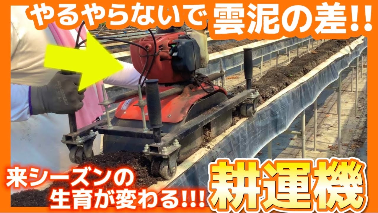 【いちご栽培】耕運機について【生育が変わる‼️】