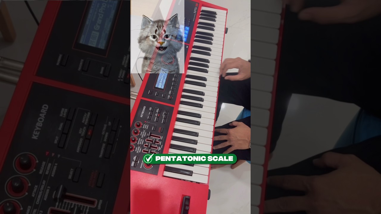 CARA MUDAH MAIN PENTATONIC SCALE PIANO/KEYBOARD, DIJAMIN 100%