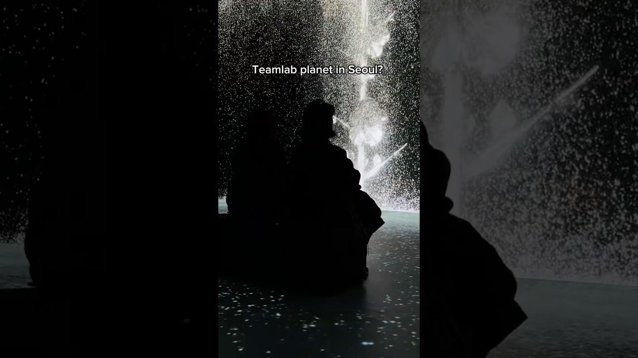 World's First Korean-Style Immersive Media Art