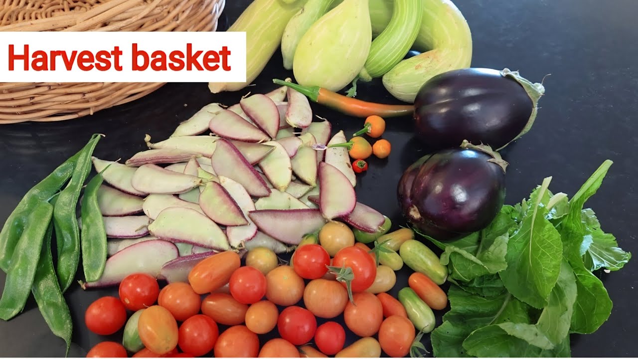 Weekend harvest from 