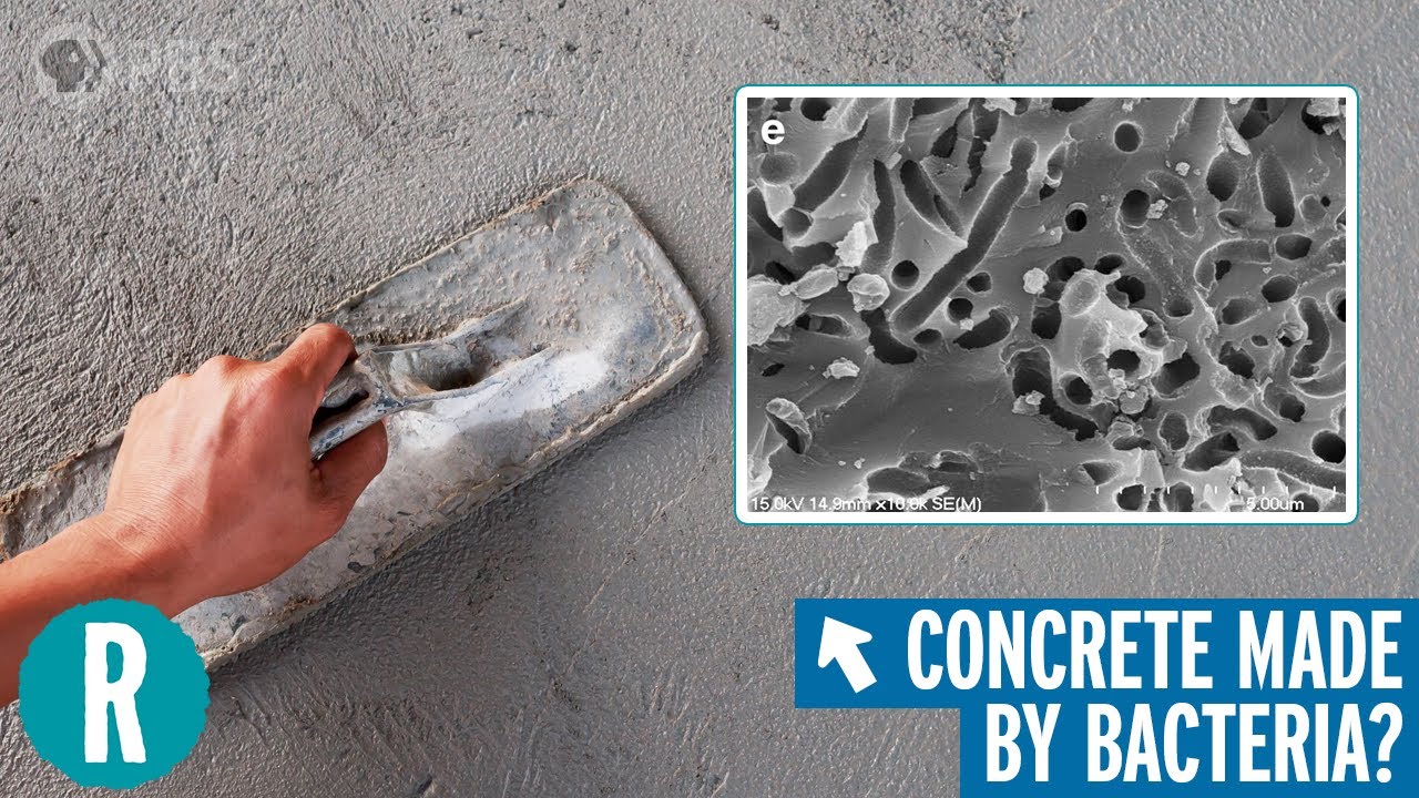 The Bioconcrete Revolution (maybe)