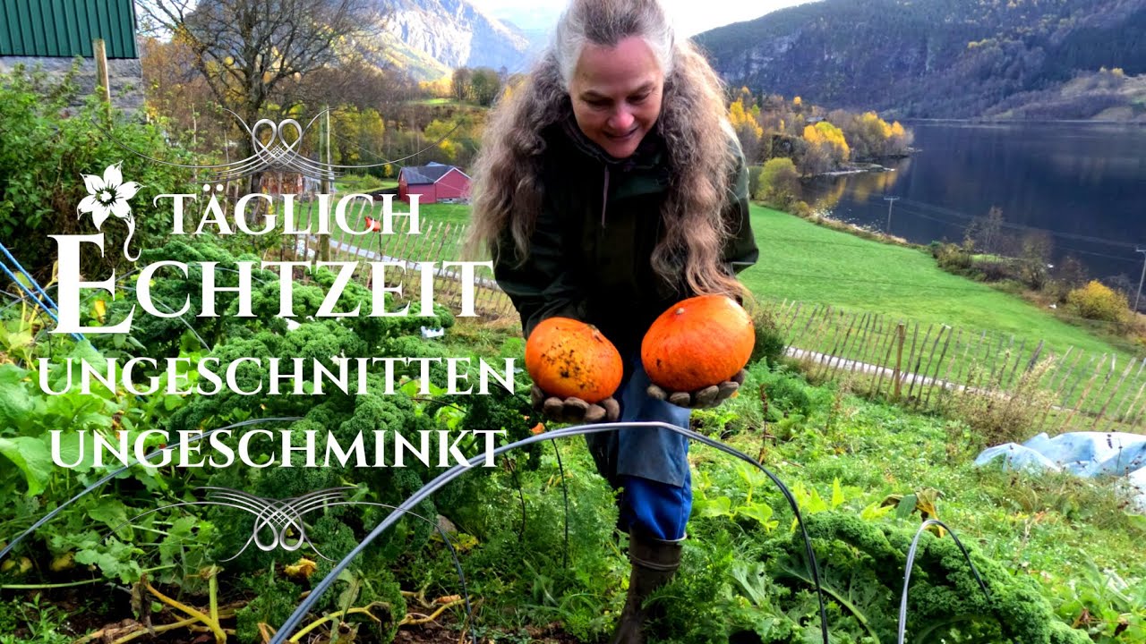 Echtzeit:👩‍🌾 Kürbisernte🎃 -  Hofleben ungeschminkt - Garten, Gemüse, Staffel 1 Herbst, echtes Leben