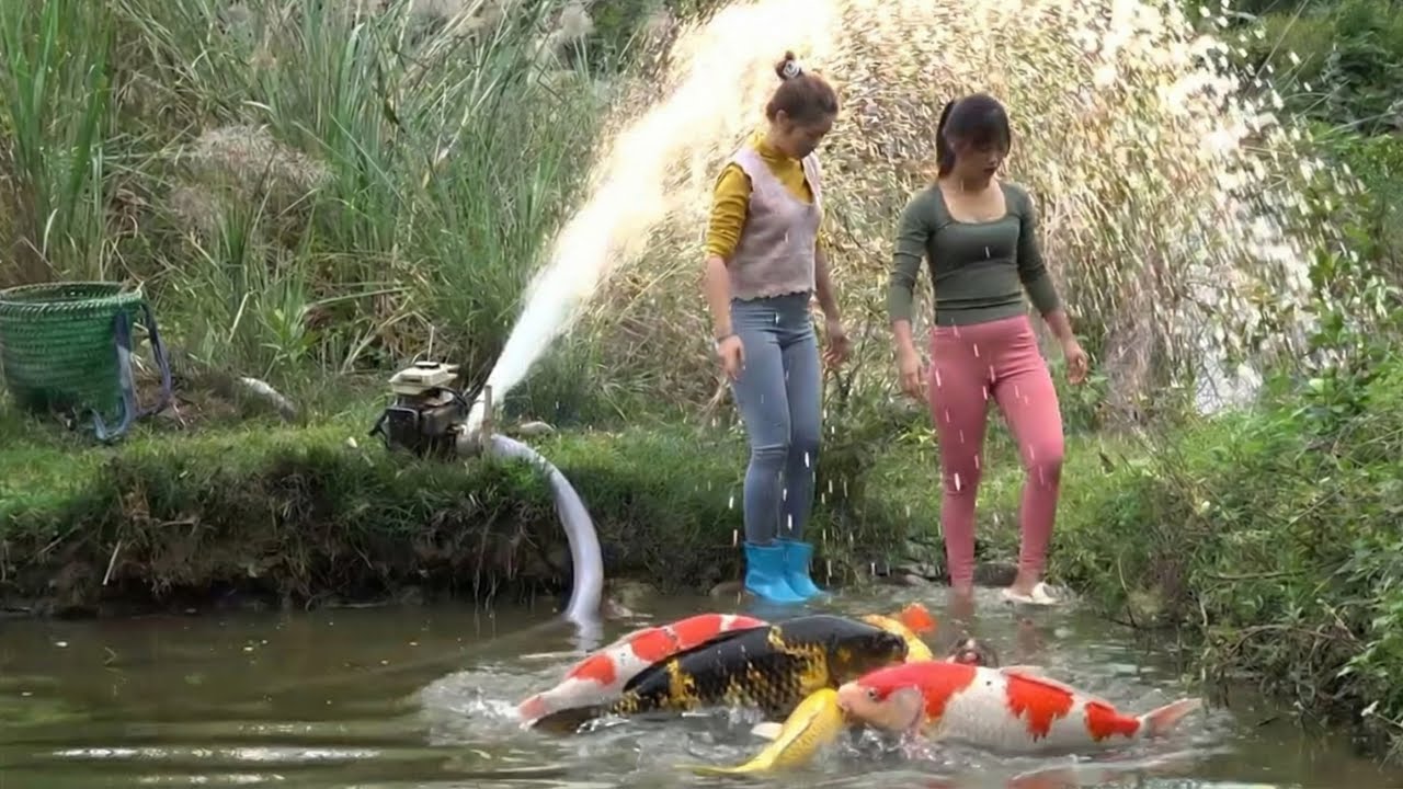 GADIS MEMANCING Tradisional,dengan Bambu & Jaring,Keterampilan MEMANCING Menakjubkan - Lan Fishing