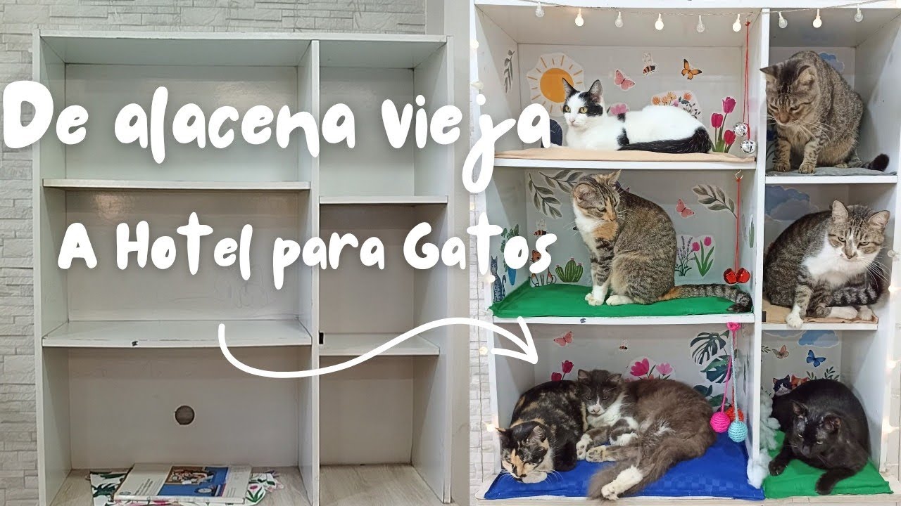 DIY 😻Mis gatos tienen su propio Hotel♻️De alacena vieja a espacio colorido y acogedor ✨