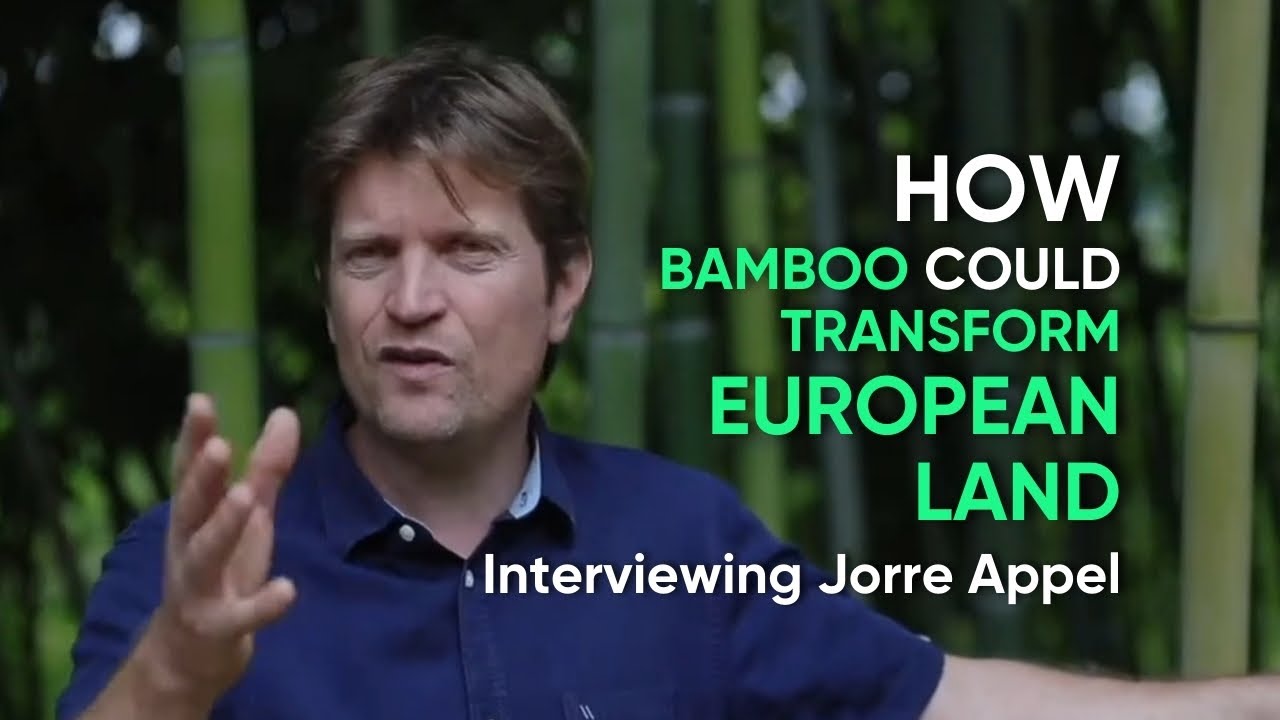 Interview Jorre Appel - Partner of Bamboologic