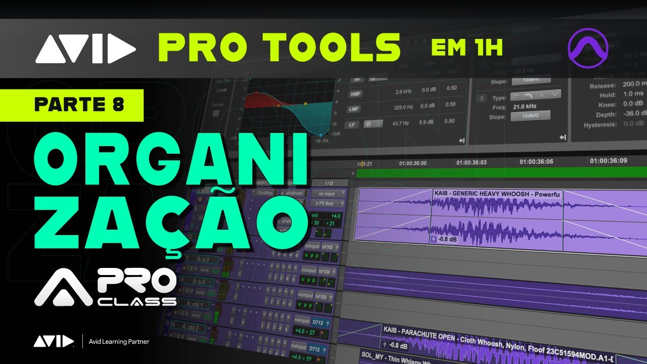 Curso Gratuito de Pro Tools -  Parte 8 - Organização de Sessão - Markers, Rulers e Colors