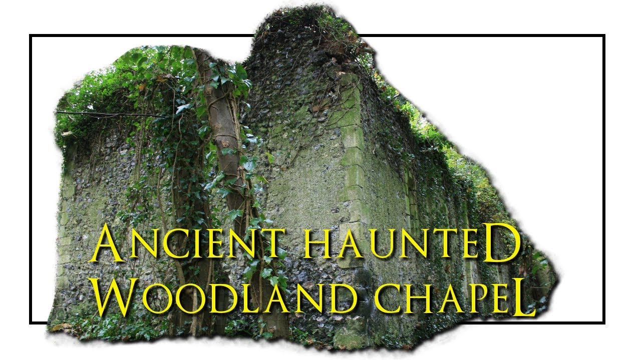 Oxney Bottom Woods UK's Most Haunted Woodland | History Project