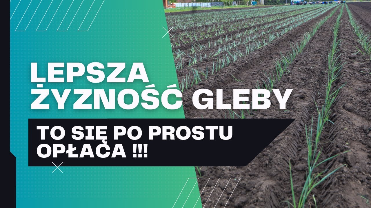 Lepsza żyzność gleby. Dla warzyw to bardzo ważne!