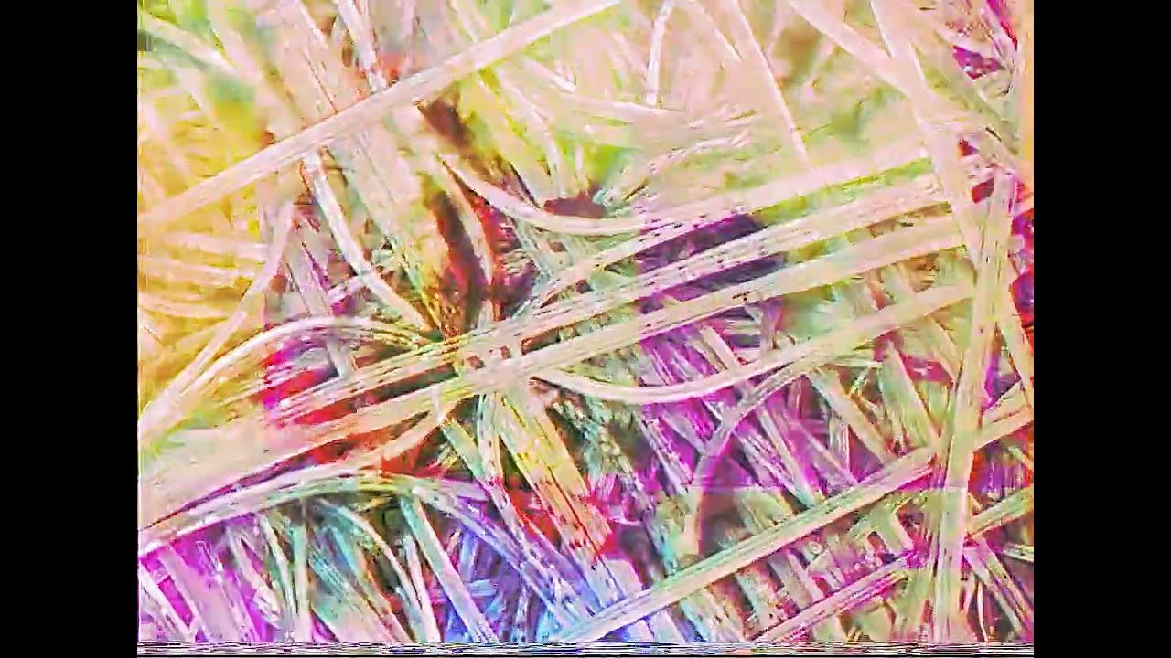 𝐔𝐍𝐋𝐎𝐕𝐀𝐁𝐋𝐄