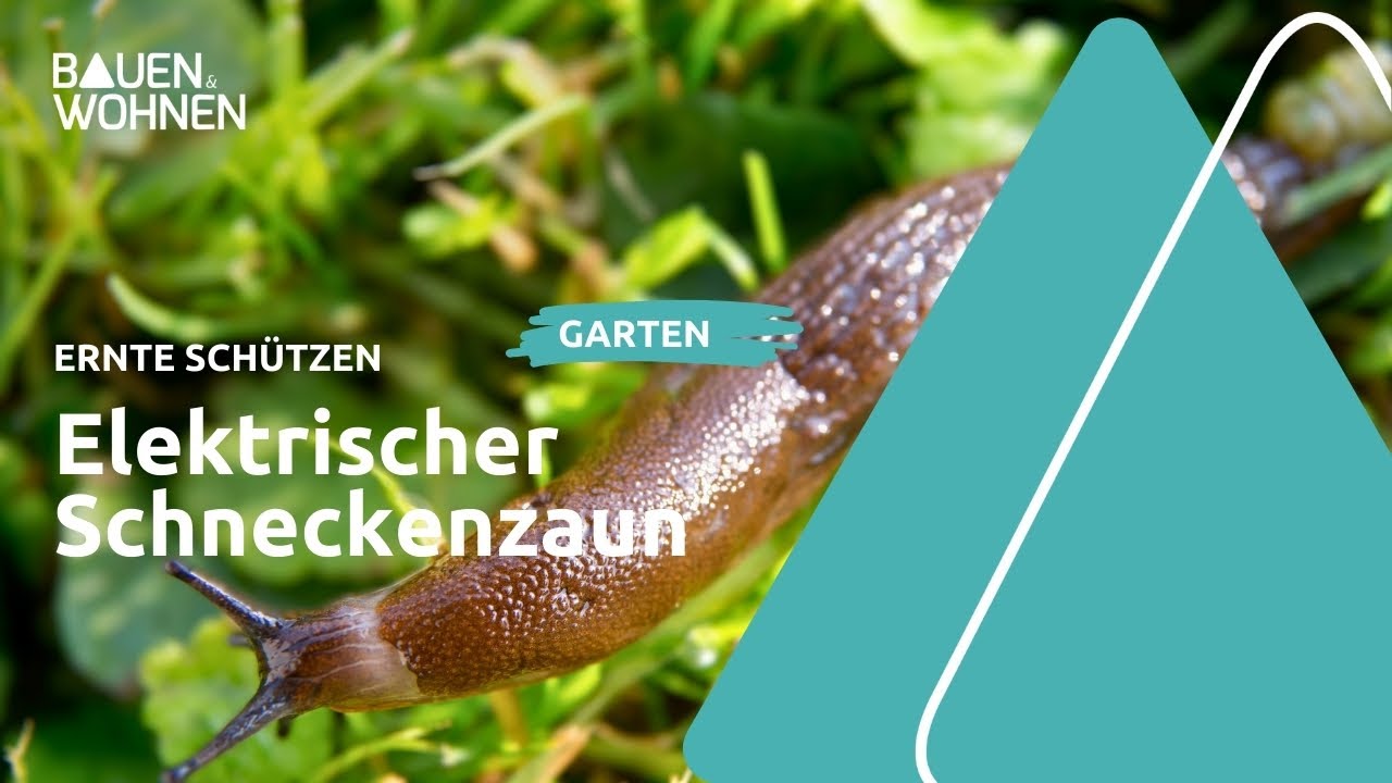 Schneckenzaun selber bauen:  Elektroschneckenzaun
