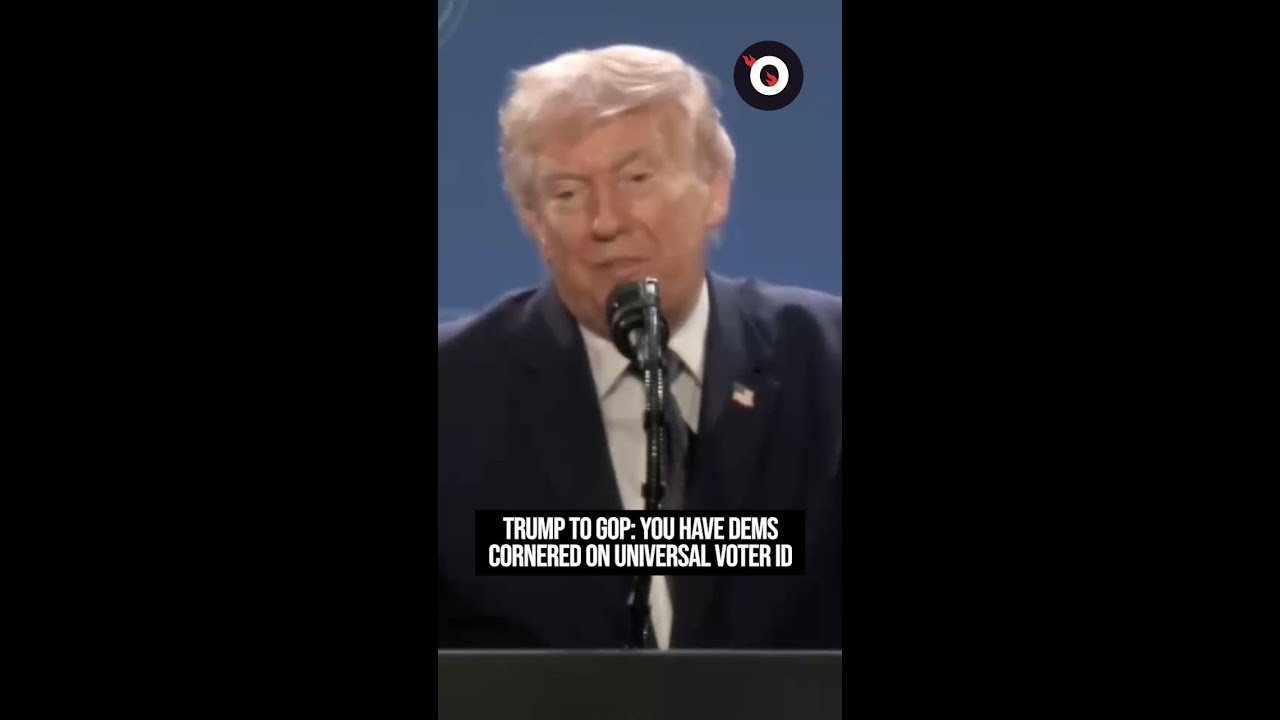 Trump to GOP: You have Democrats cornered on voter ID