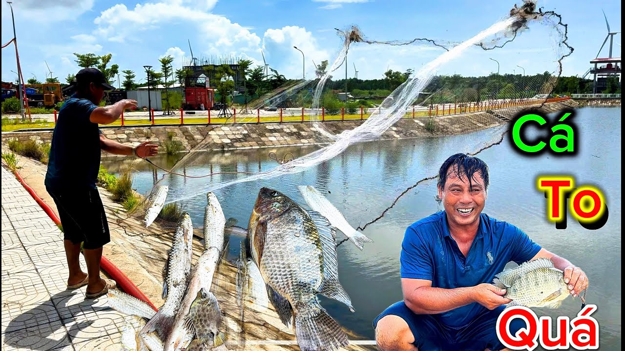 Chài cá vùng ven biển/ hôm nay trúng cá ngon quá