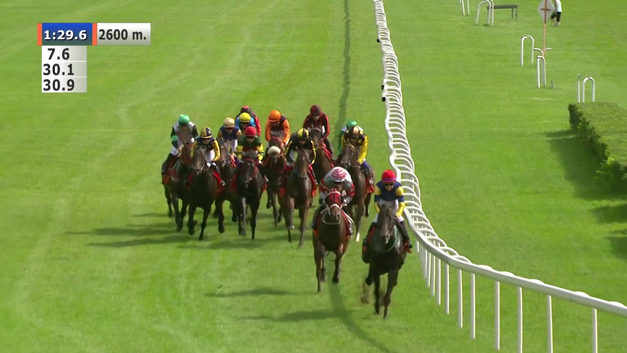 19.07.2020 (D20; G5; Tor: 3,2; 28°C) Nagroda Prezesa Totalizatora Sportowego – L (kat. A)