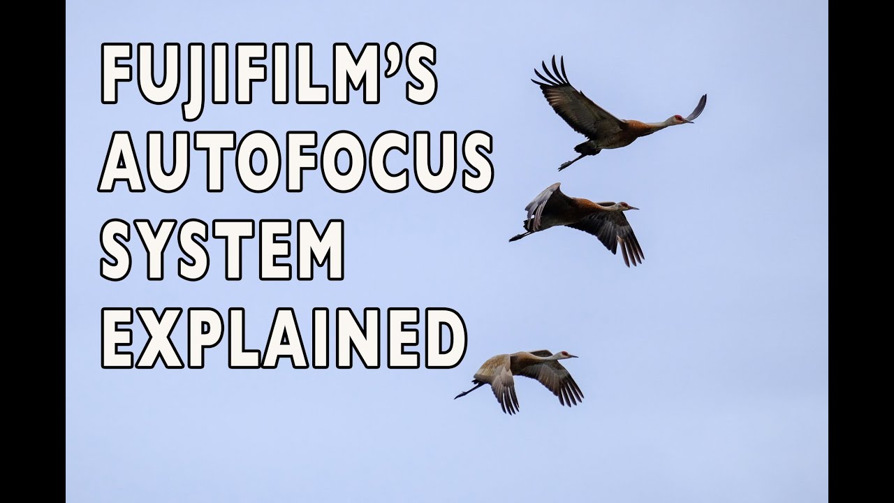 The Fujifilm X-Series Autofocus System Explained