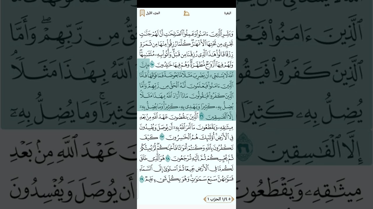 سورة البقرة للقارئ العراقي مصطفي رعد الغزاوي 1080