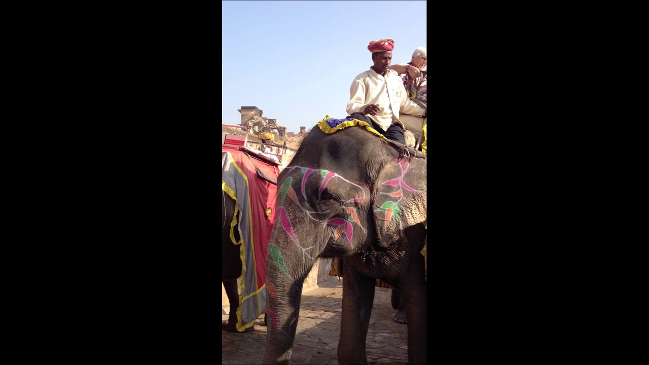 Elephant ride at Amer Fort, Jaipur