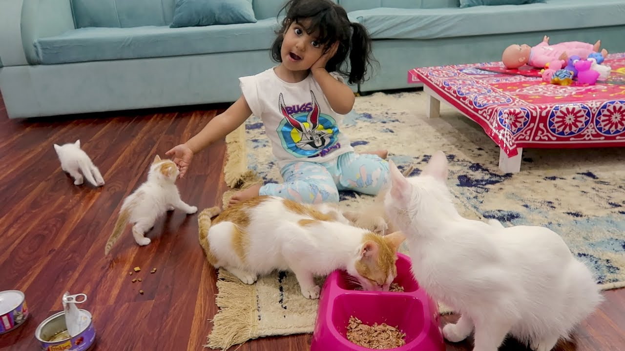 قطاوة ليلى الصغيره // كبروا وصاروا ياكلون ... ❤️