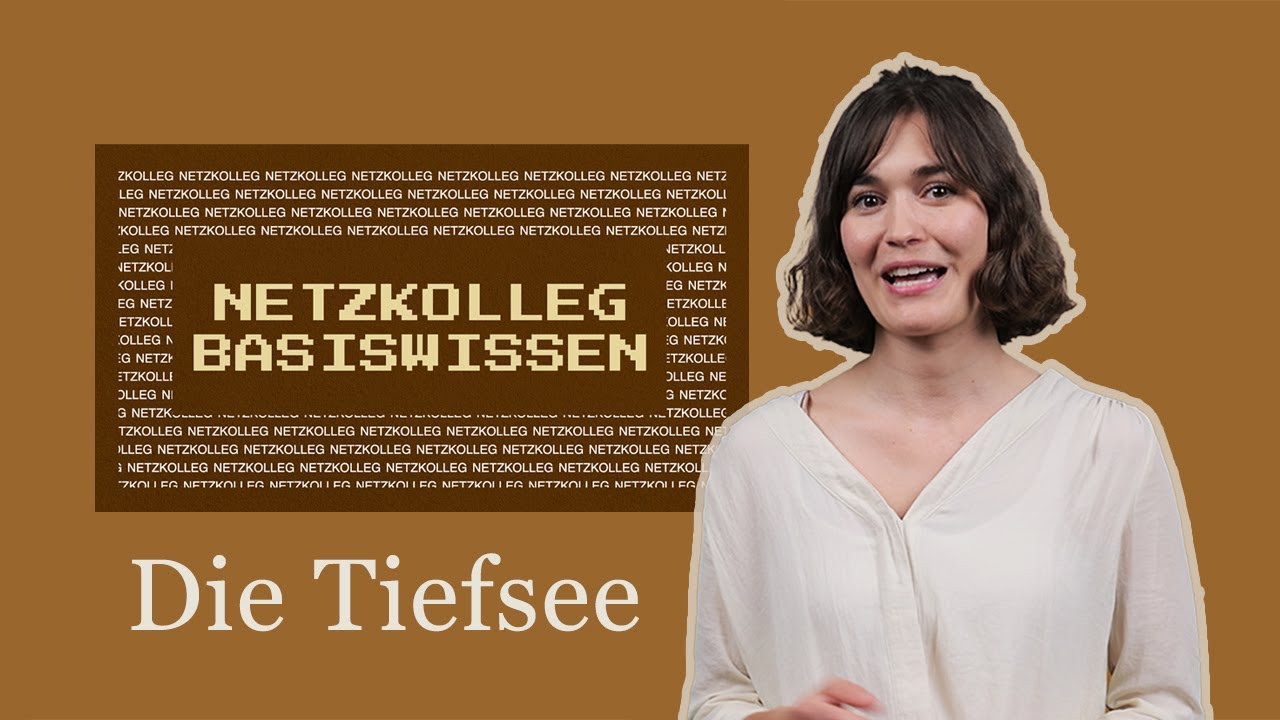 Netzkolleg Basiswissen - Die Tiefsee (Grundlagen der Geologie - Abiturvorbereitung)