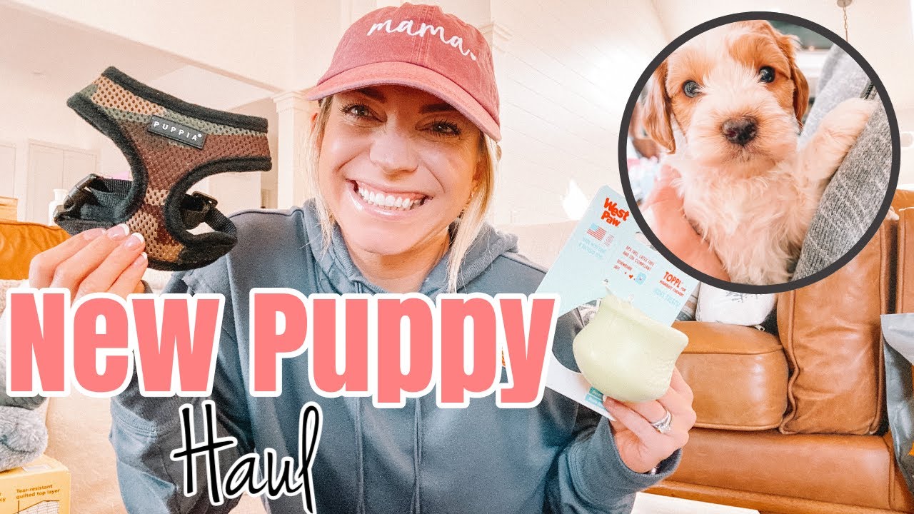 NEW PUPPY HAUL // PUPPY ESSENTIALS YOU NEED!