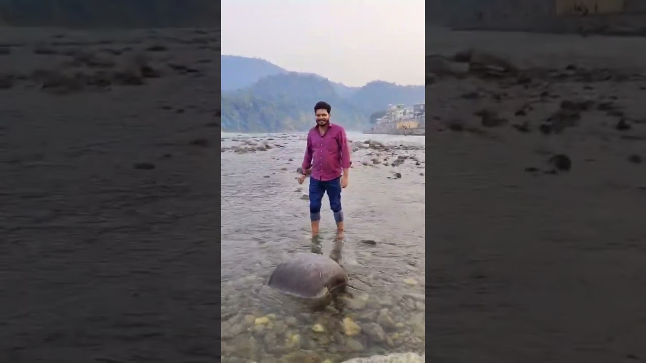 #rishikesh #uttarakhand #river #ganga #water #waterfall #mountains. #mrchauhan840 ||Chauhan World||