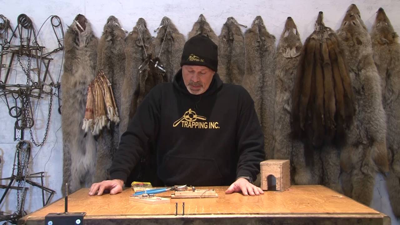 Trapping Inc Ep4 S2 Pizza Money Ermine