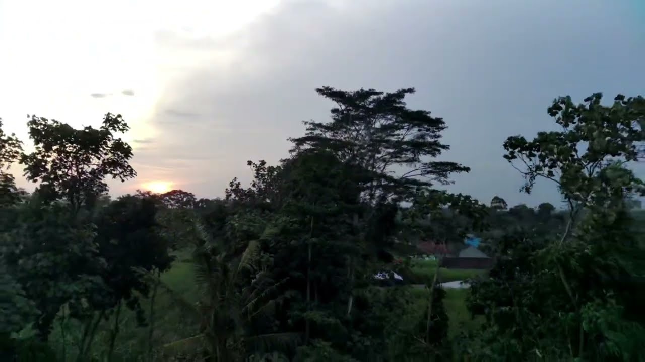 NGABUBURIT MELIHAT INDAHNYO SUNSET DIPEDESAAN