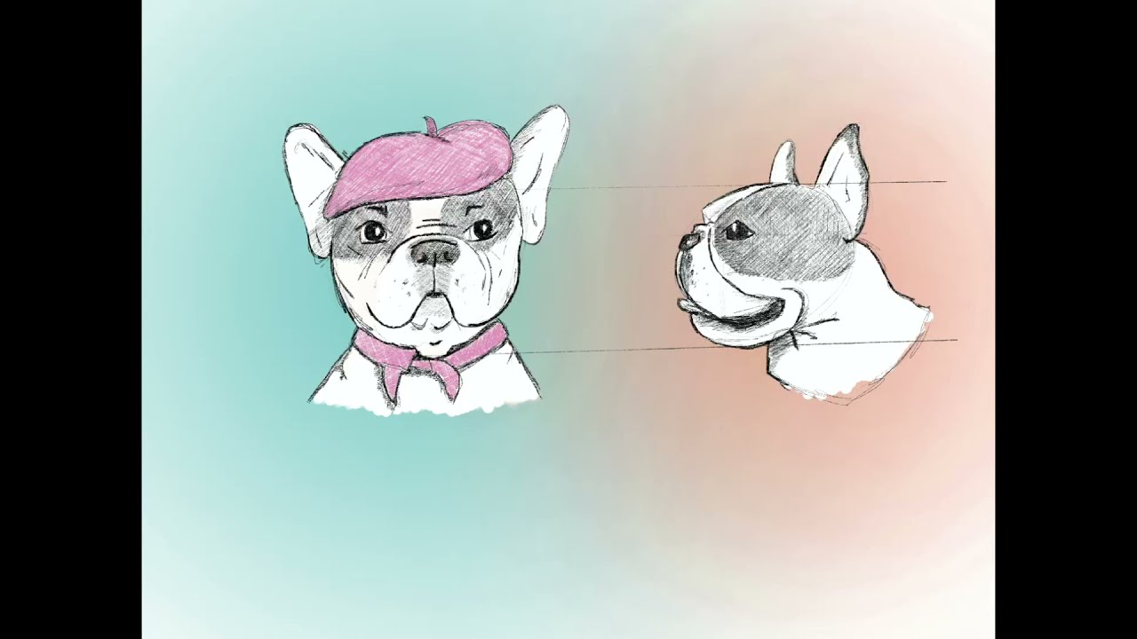 iPad ProCreate - Drawing French Bulldog Time-lapse frontview sideview how to draw