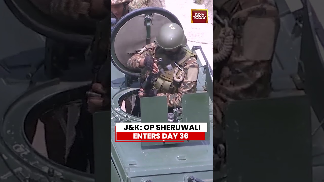 J&K Security Forces Continue Operation Sheruwali In Rajouri | #jammukashmir #kashmir #indianarmy