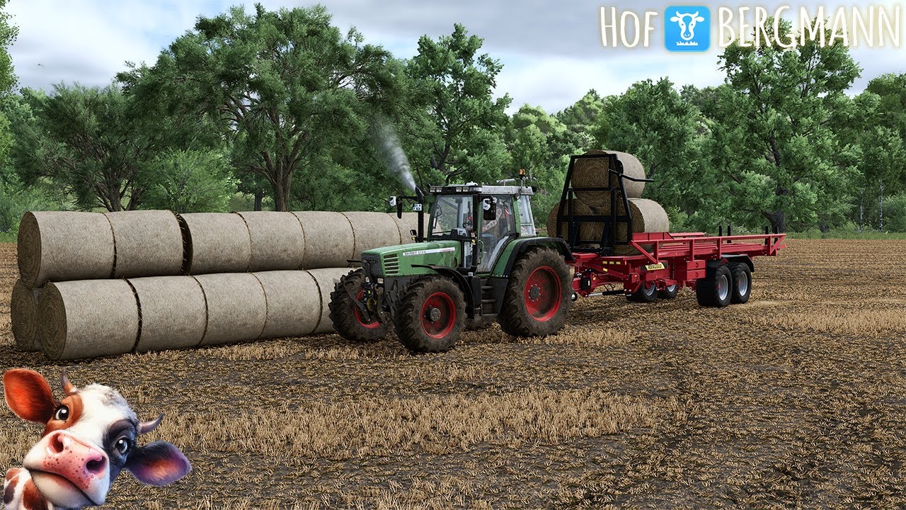 LS25 / Hof Bergmann # 168