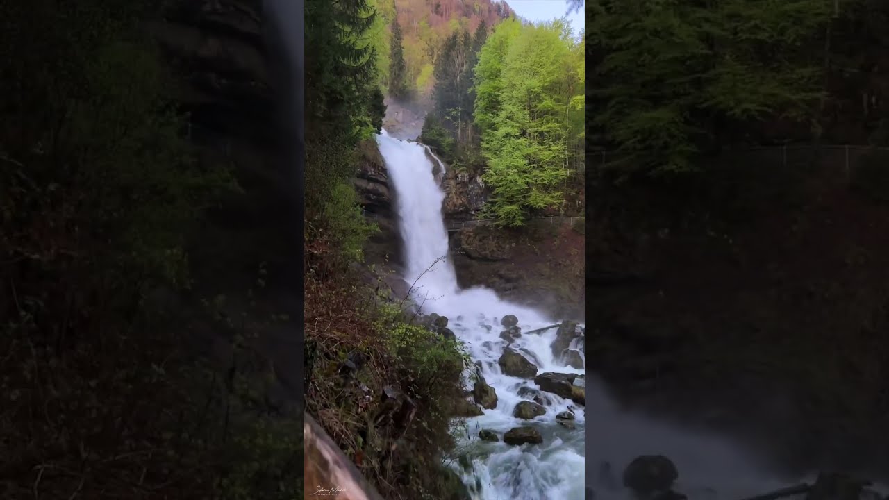 Natural shower in @brienzamsee #brienz #switzerland #travel #nature