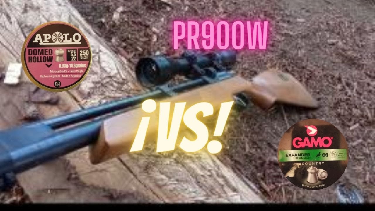 APOLO DOMED HOLLOW vs GAMO EXPANDER agrupaciones PR900W