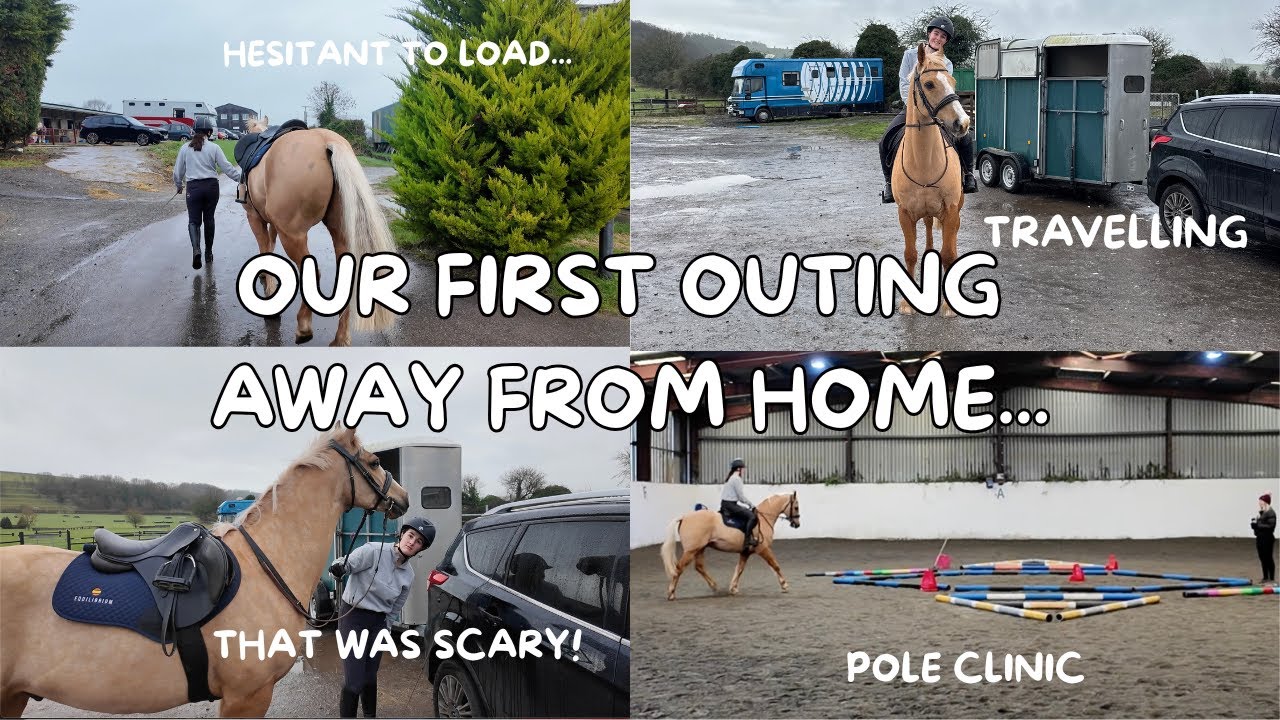 TAKING MY NEW HORSE OUT FOR THE FIRST TIME