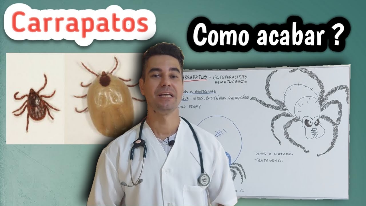 COMO ACABAR COM CARRAPATOS