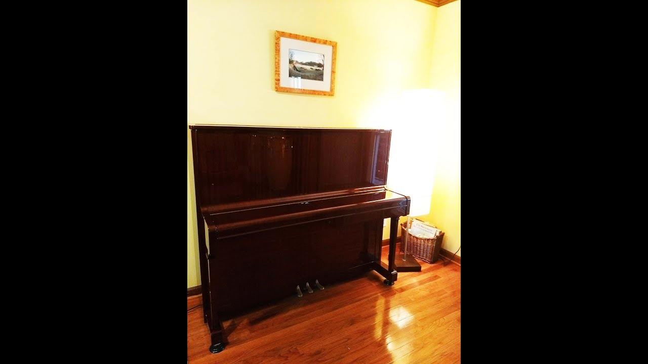 Exceptional  Petrof  piano