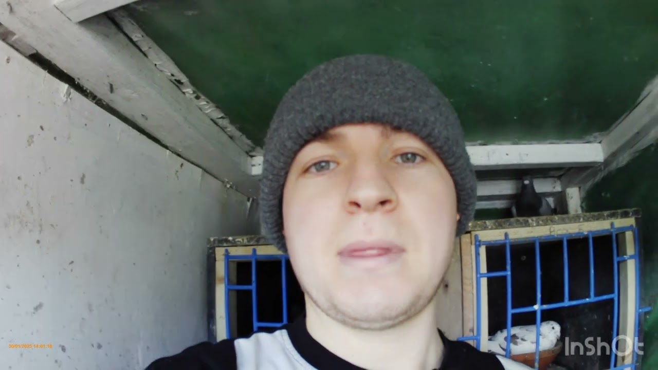 Episode 13/we have eggs/babies on the way aswell