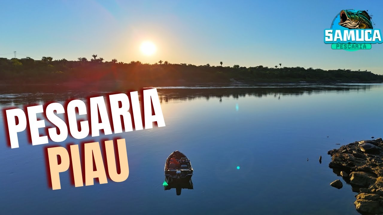 Pescaria de Piau no Rio Tocantins