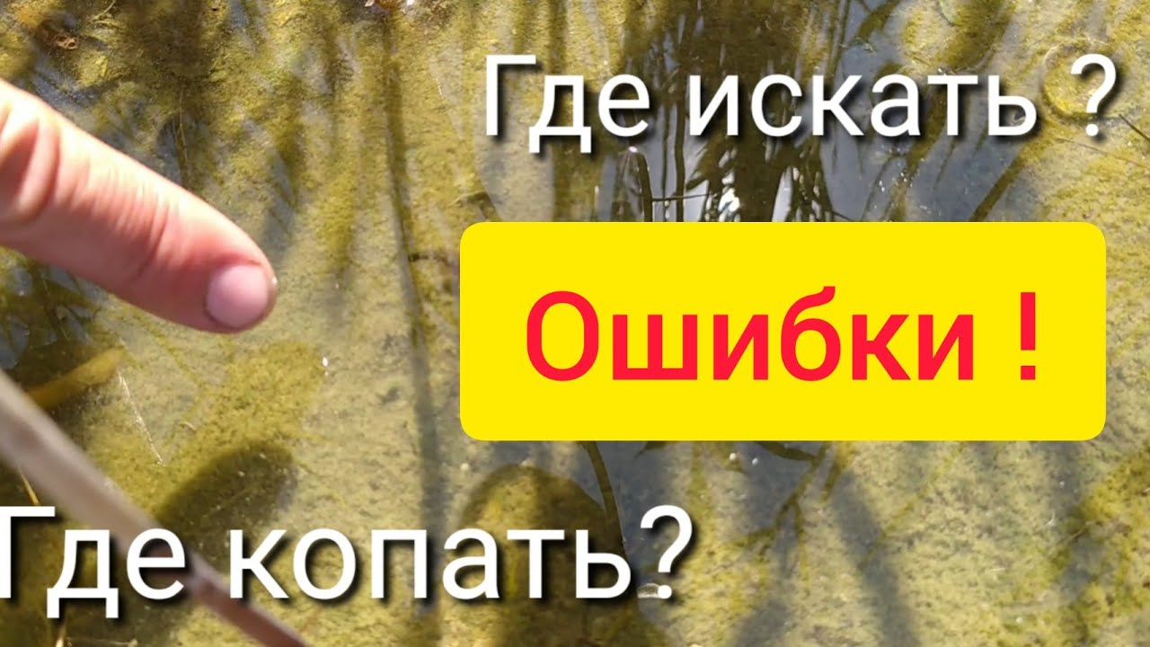 Где копать морской червь нереис