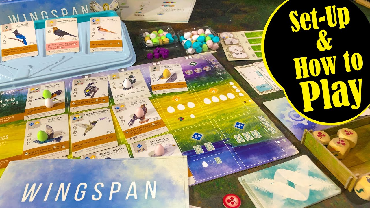 WINGSPAN Set-up and How to Play followed by a Solo Play Thru with the AUTOMA