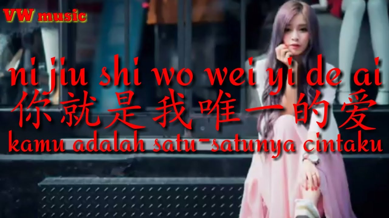你就是我唯一的爱 Ni Jiu Shi Wo Wei Yi De Ai - 谭艳 Tan Yan
