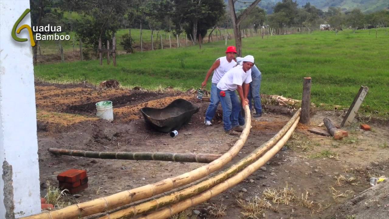 Bending Dry Bamboo Poles