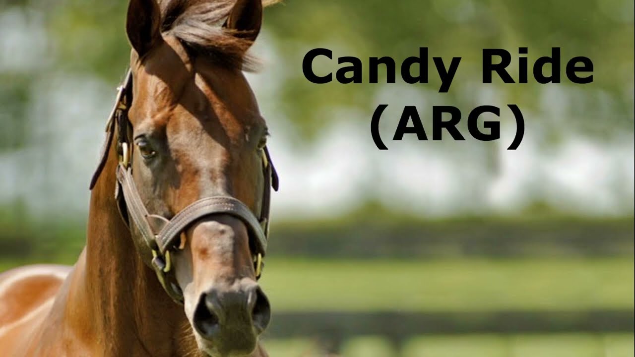 CANDY RIDE (🇦🇷) 🏆 Meet Gun Runner's Father 🐎🐎🐎