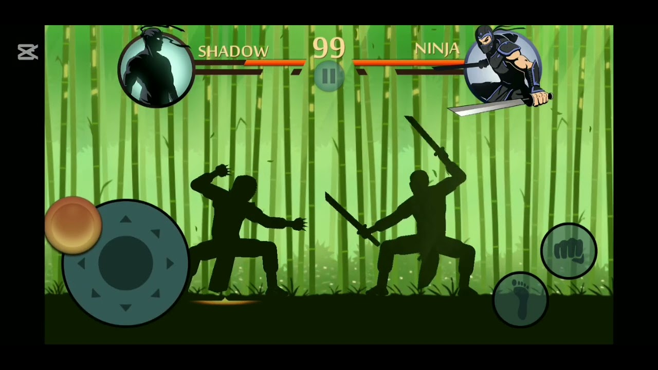 Shadow fight 2
